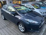 Ford Fiesta 1.25 82 PS ZAHNRIEMEN NEU - Ford Fiesta Gebrauchtwagen in Dortmund