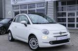 Fiat 500 Cabrio Lounge°Klima°Temp°Navi°PDC°Creme - Fiat Gebrauchtwagen in Kiel