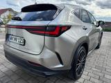 Lexus NX 350h E-FOUR Executive Line 360 NAVI PANO HUD  - Lexus aus 2023