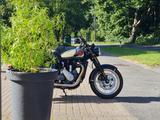 BSA Gold Star Highland Green - BSA MOTORRAD