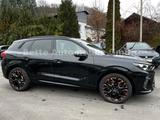 Cupra Terramar 2.0 TSI VZ DSG 4Drive *MATRIX-LED*PANO* - Gebrauchtwagen in Lennestadt