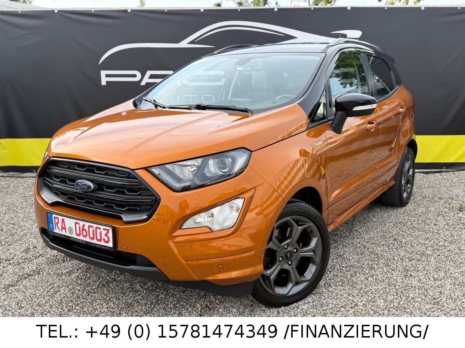 Ford EcoSport bei Pagano Automobile Bild 1 von 1