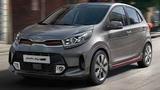 Kia Picanto 1.0 Vision AMT (neue Allwetterreifen) 