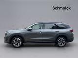 Skoda Kodiaq Selection 1.5 TSI iV DSG Hybrid NAVI LED - Skoda Kodiaq Plug-in Hybrid (PHEV) Gebrauchtwagen