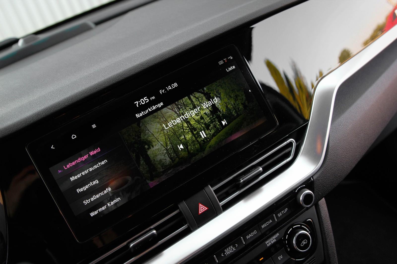Kia e-Niro DynamicLine 64 kWh/SOH99,7%/Leder/15538ne