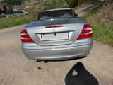 Mercedes-Benz CLK 320 Cabrio A209 Elegance - Mercedes-Benz: Clk A209