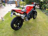 Triumph Speedtriple 1050 SE - Offers matching your search criteria