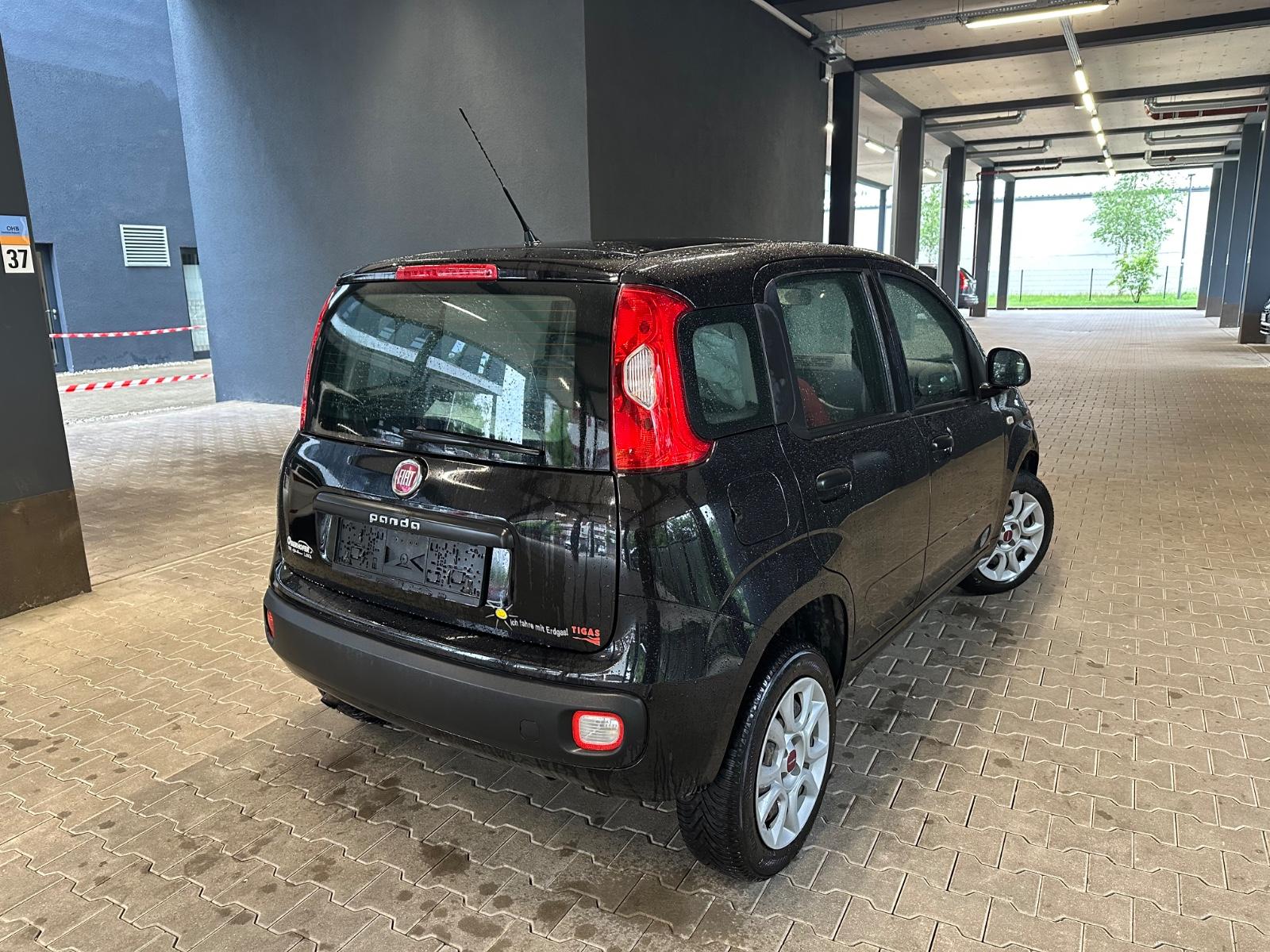 Fiat Panda Easy (BENZIN/GAS)