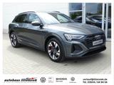 Audi Q8 55 e-tron quattro 300KW S line LUFT/ACC/MATRI