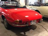 Alfa Romeo Spider Duetto Rundheck 1600 ungeschweißter Traum - Alfa Romeo aus 1966