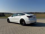 Tesla Model 3 Performance mit Dualmotor Allrad  - Tesla Gebrauchtwagen in Frankfurt