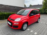 Fiat Panda Easy Klima EL.Fenster Allwetterreifen15TKm - Fiat Panda Gebrauchtwagen in Krefeld