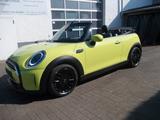 MINI COOPER Cabrio Cooper Classic Trim LED Leder Auto - MINI MINI: Cabrio, Auto