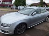 Audi A5 3.0 TDI (DPF) S tronic quattro Sportback - - Audi A5 aus 2009: Sportback