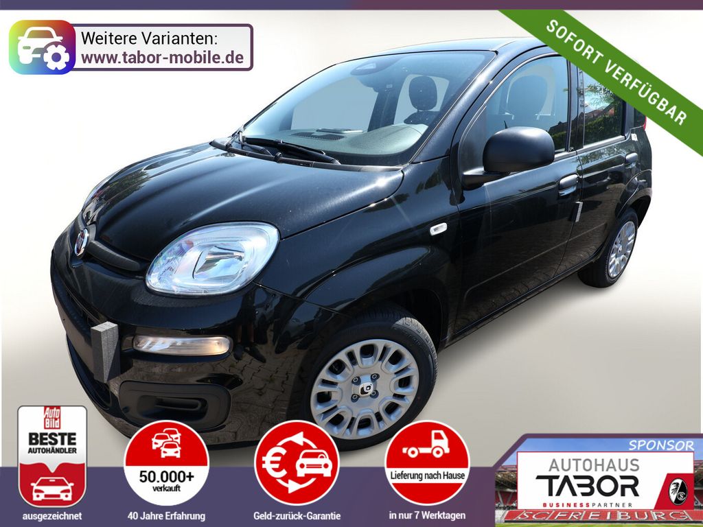 Image of Fiat Panda