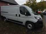 Fiat Ducato - Fiat Ducato: Automatik