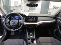 Skoda Octavia - Vorschau Bild 7