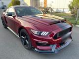 Ford Mustang Roush RS Edition - Ford Mustang: Edition