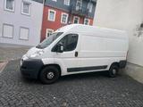 Peugeot Boxer - gebrauchte Peugeot Boxer aus dem Jahr 2014