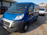 Fiat Ducato Kombi 30 115 - Fiat Ducato: 11