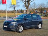 Opel Grandland Edition+Techno+WKR+1.Hand++ - Opel Grandland (X) Edition mit Benzin-Antrieb