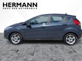 Ford Fiesta 1.0 EcoBoost Titanium LED*SHZ*SYNC*KlimaA - Ford Fiesta: Titanium