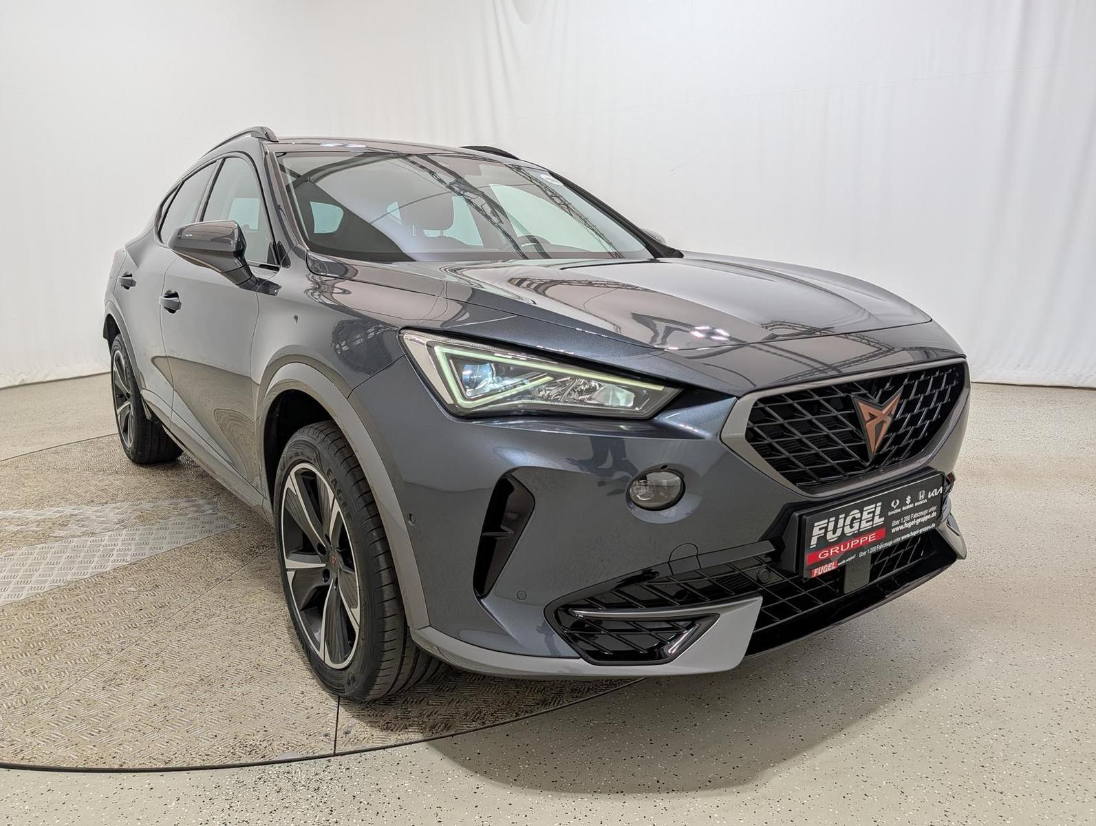 Cupra Formentor 2.0 TDI DSG 4Drive Winter|Navi|ACC|LED