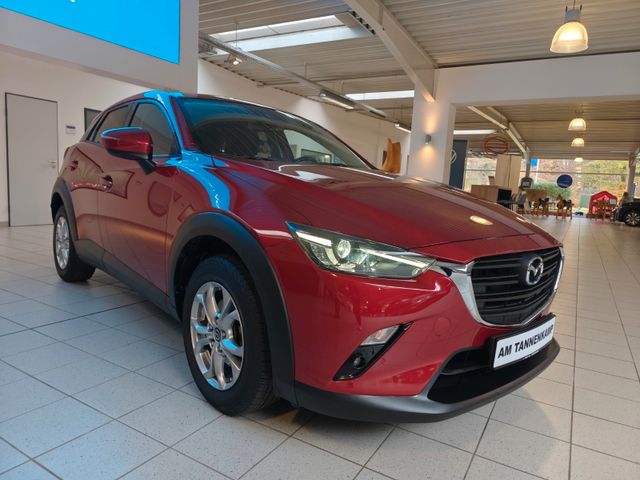 CX-3 Exclusive-Line