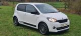 Skoda Citigo Monte Carlo *Navi*Tempo*SHZ*ISOFIX*Radio* - Skoda Citigo: Navigationssystem