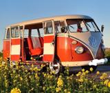 Volkswagen T1 - Volkswagen T1: Leder