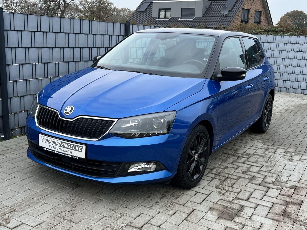 Skoda Fabia 1.0 TSI Ambition *sehr gepflegter Zustand*