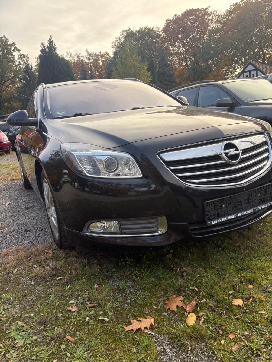Opel Insignia 2009 — rear view