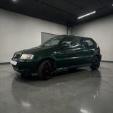 Volkswagen Polo 6N 1.4 (60 PS) | Grün-Metallic  - Volkswagen Polo: Grün, 6n