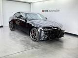 Alfa Romeo Giulia 2.0 Competizione Q4 Turbo Panoramadach - Alfa Romeo Giulia: 2.0