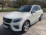Mercedes-Benz ML 350 BlueTEC 4MATIC - - Mercedes-Benz ML 350 Gebrauchtwagen in Stuttgart