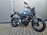 Honda CBF 125 R CB 125 R *Als Neufahrzeug nur bei uns* - HONDA CBF