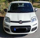 Fiat Panda YOUNG 1.2 - weiße Fiat New Panda