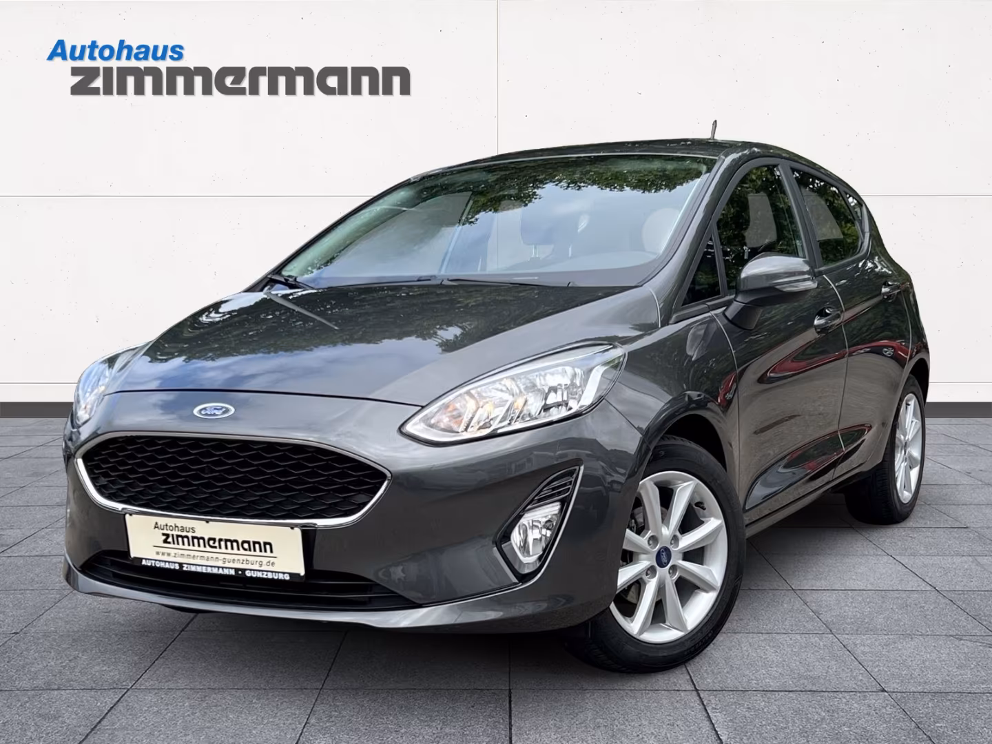 Ford Fiesta Cool & Connect Spurhalteass. PDC Berganfa