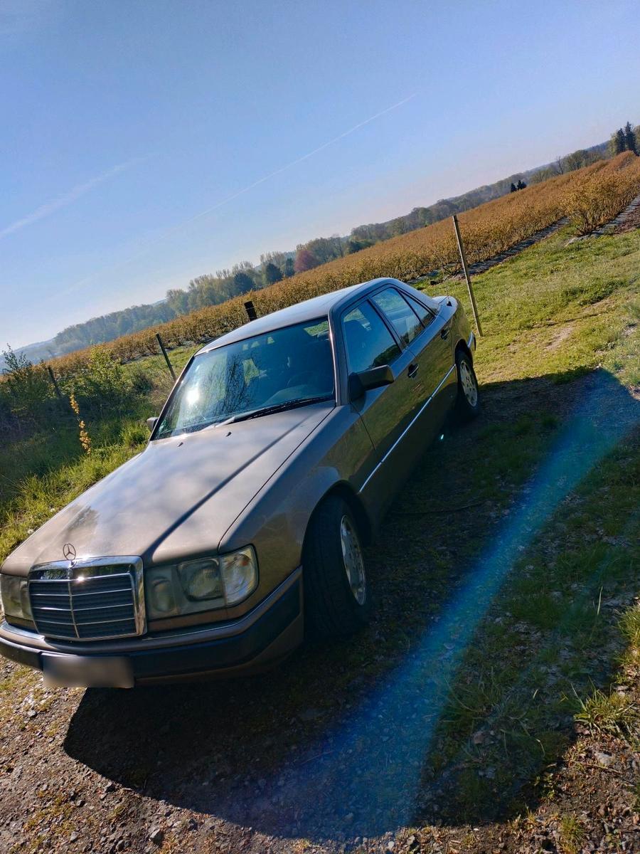 Mercedes-Benz 230