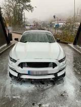 Ford Mustang GT 350 Optik - Ford Mustang: Gt350