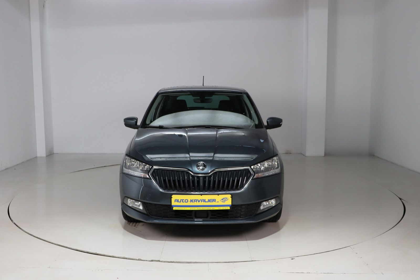 Fahrzeugabbildung SKODA Fabia 1.0 TSI * Navi * 1.Hand Soleil