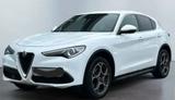 Alfa Romeo Stelvio 2.0 Turbo 16V 206kW Super AT8-Q4 Super - Alfa Romeo Gebrauchtwagen in Mannheim