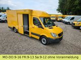 Mercedes-Benz Sprinter Koffer Integralkoffer Automatik 1.Hd - Mercedes-Benz Sprinter: Gelb
