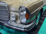 Mercedes-Benz 300/8 SEL 300 6.3 V8 2.HAND/DEU.AUTO/OLDTIMER - Mercedes-Benz 300 mit Benzin-Antrieb: Automatik