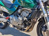 Honda Hornet CB600F/CB600S - Angebote entsprechen deinen Suchkriterien