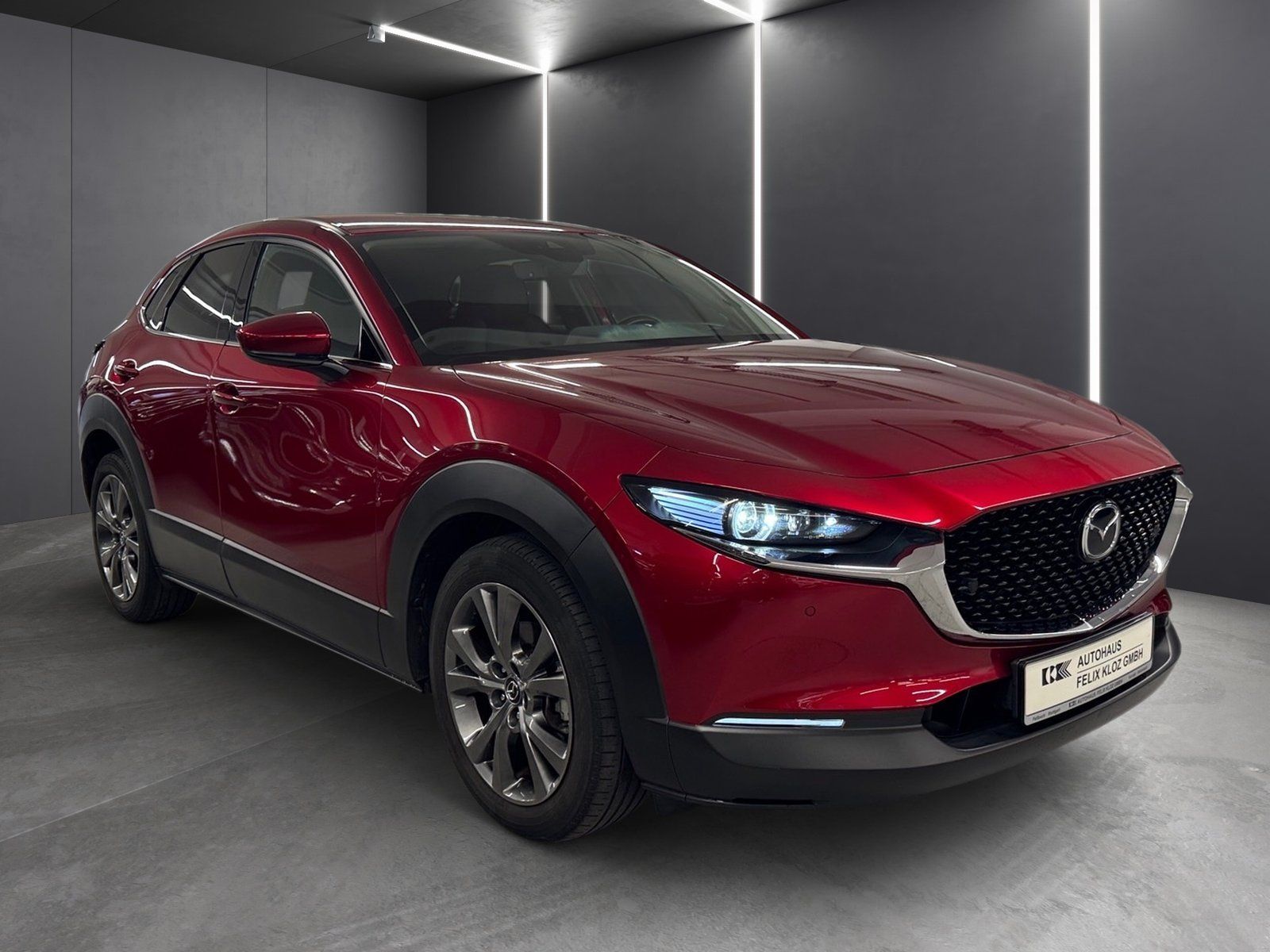 Fahrzeugabbildung Mazda CX-30 2.0 SKYACTIV-X M Hybrid Selection 2WD