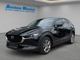 Mazda CX-30 Selection SKY.-G 150 Navi Leder Memory Sit - gebrauchte Mazda CX-30 aus dem Jahr 2022