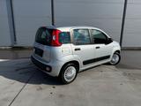 Fiat New Panda 1.2 8V MYSTYLE MYSTYLE - Fiat New Panda: Kleinwagen