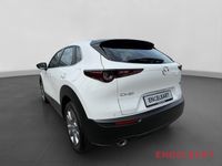Mazda CX-30 - Vorschau Bild 3