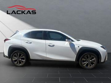 Lexus UX - 6